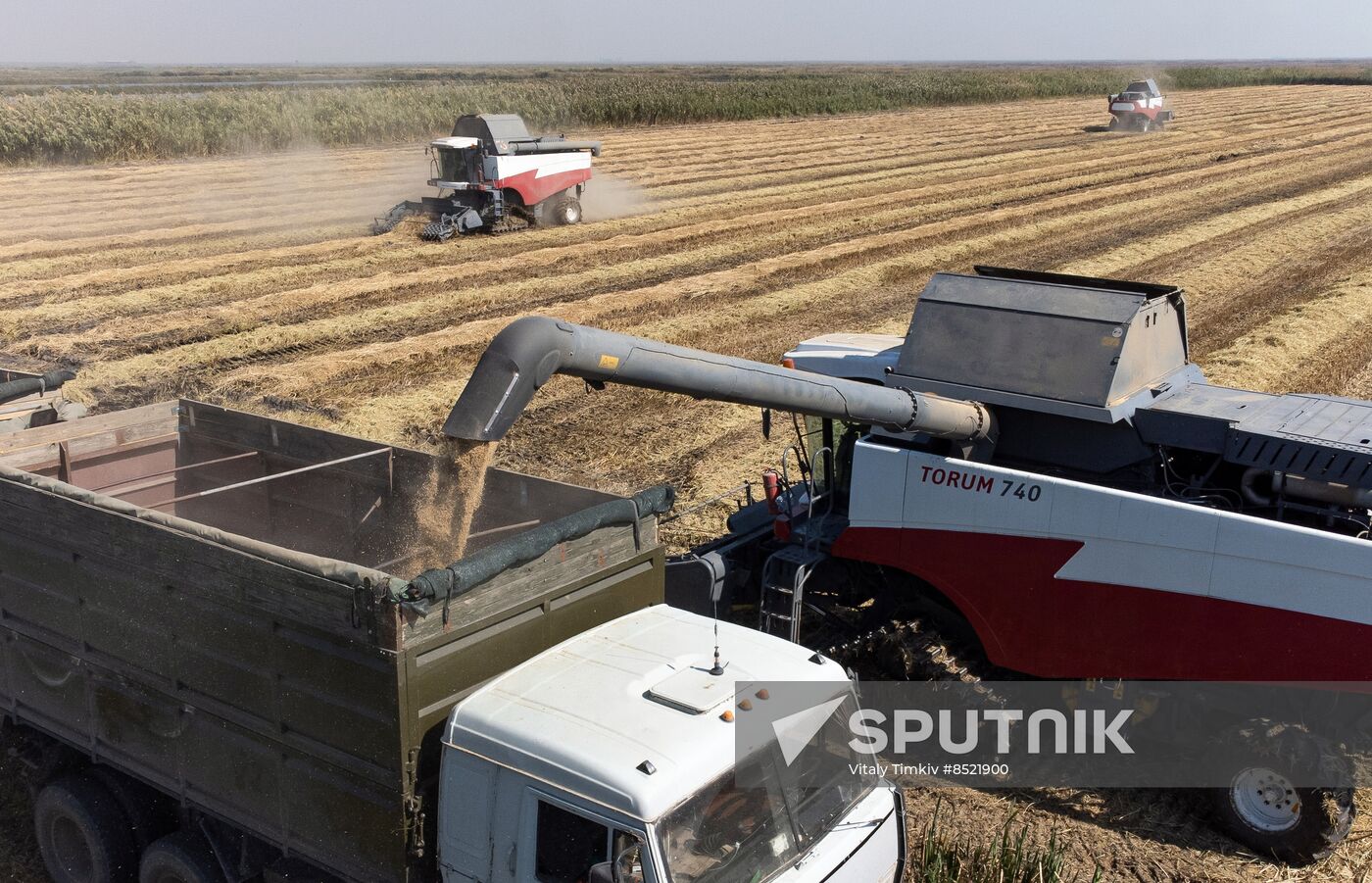 Russia Rice Harvesting