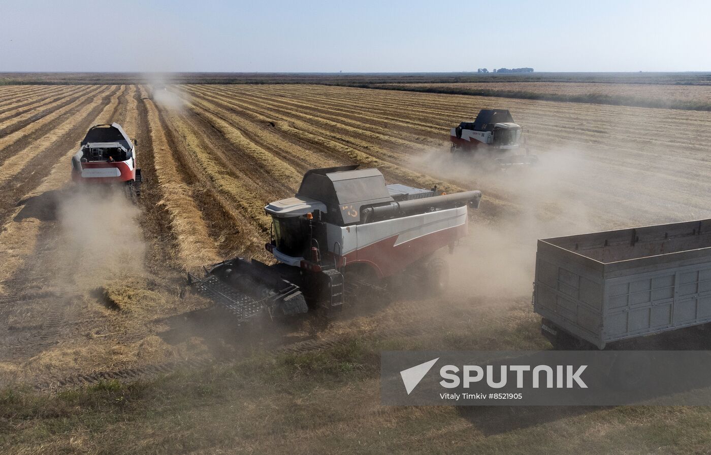 Russia Rice Harvesting