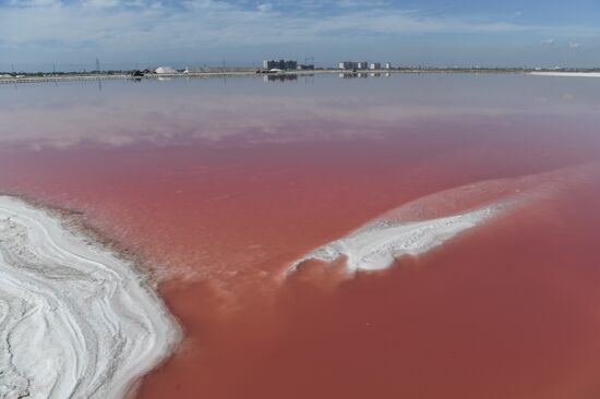 Russia Crimea Salt Production