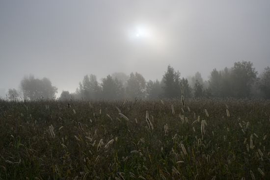 Russia Weather