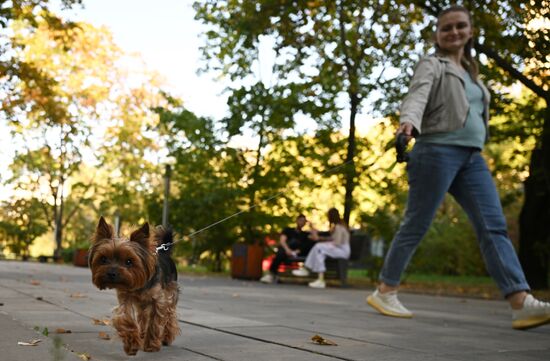 Russia Autumn Season