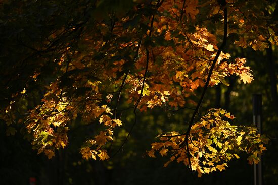 Russia Autumn Season