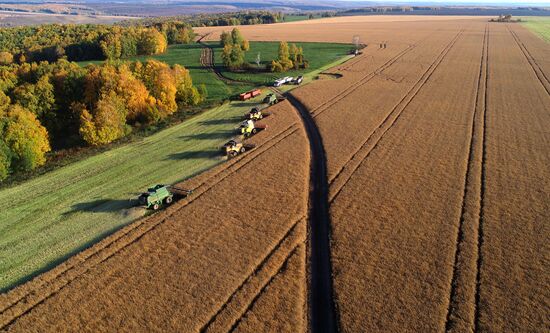 Russia Agriculture Rapeseed Harvesting