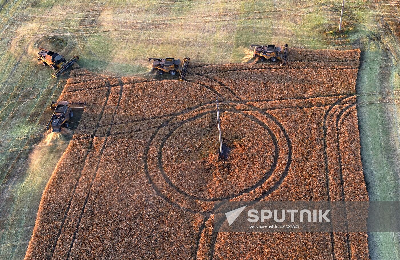 Russia Agriculture Rapeseed Harvesting