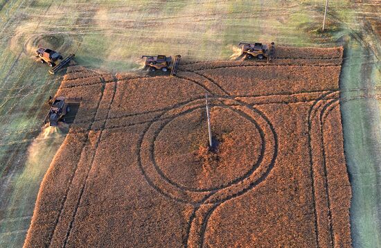 Russia Agriculture Rapeseed Harvesting