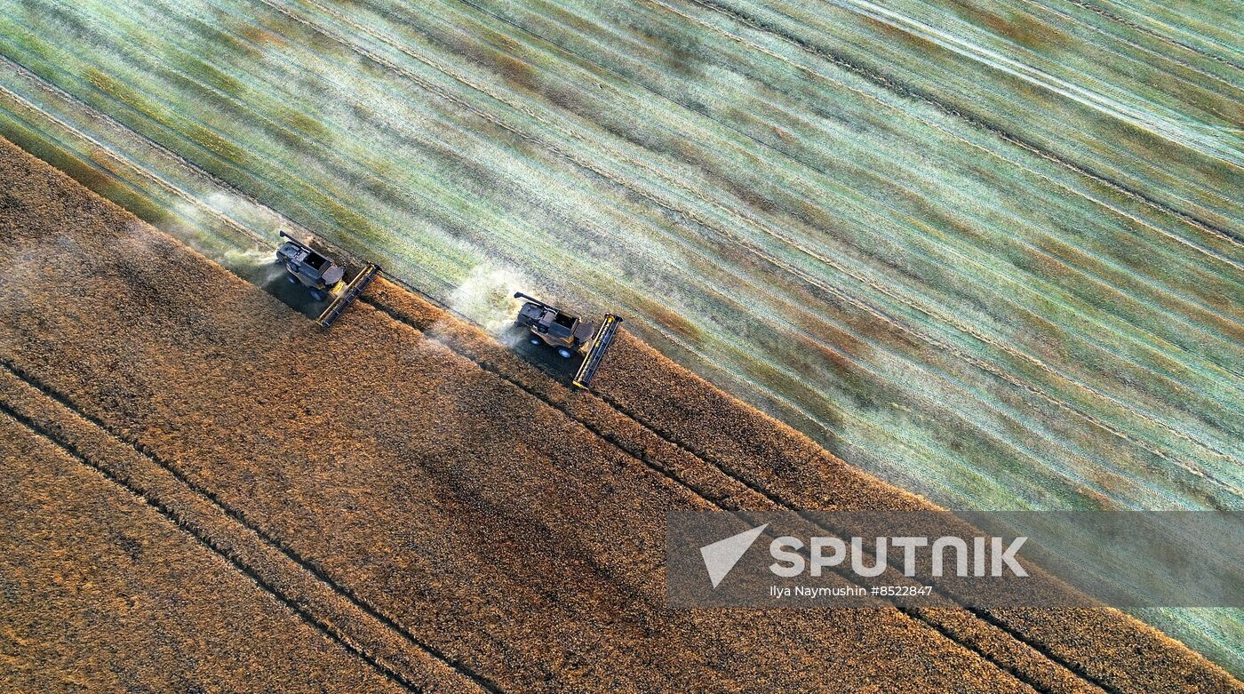 Russia Agriculture Rapeseed Harvesting