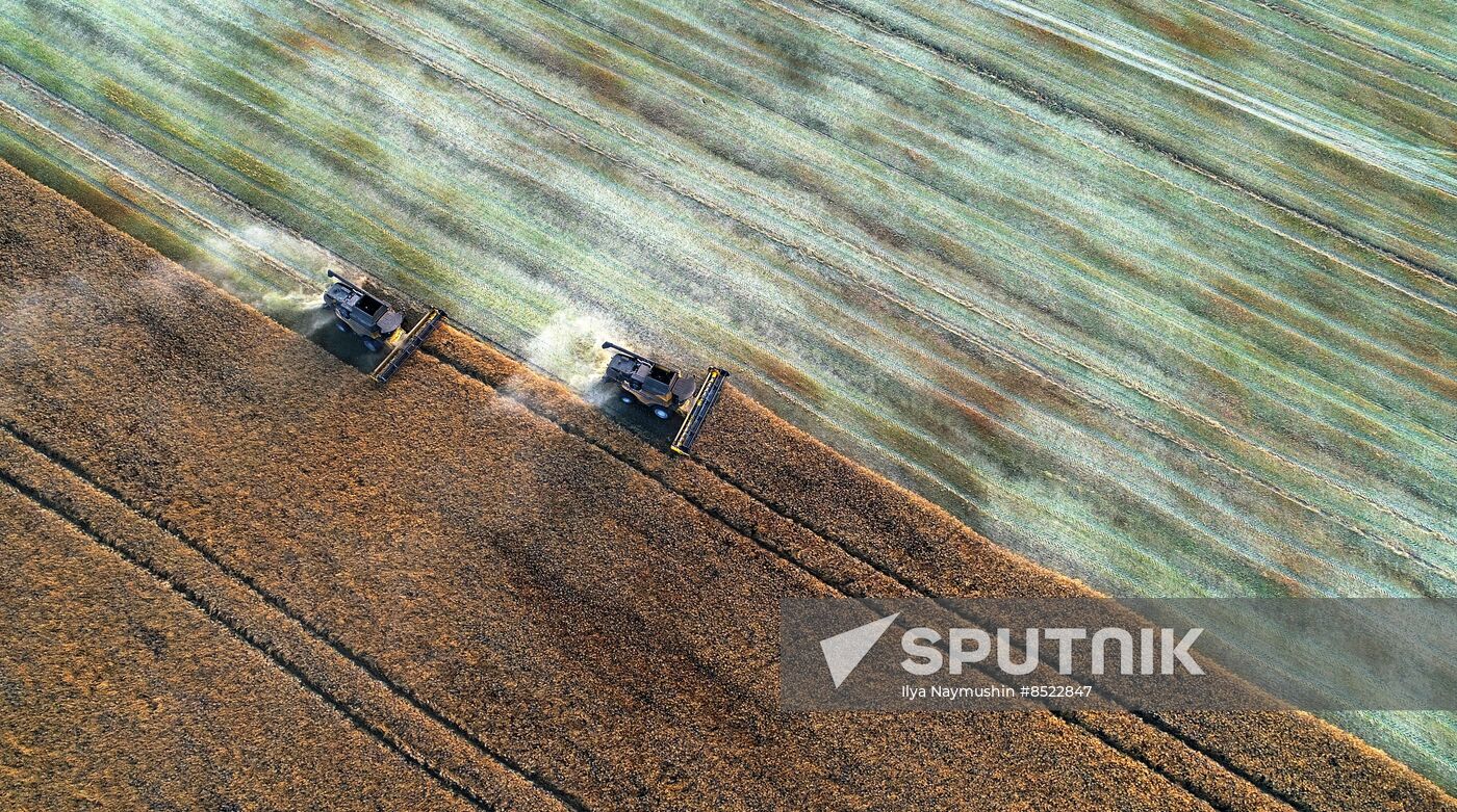 Russia Agriculture Rapeseed Harvesting