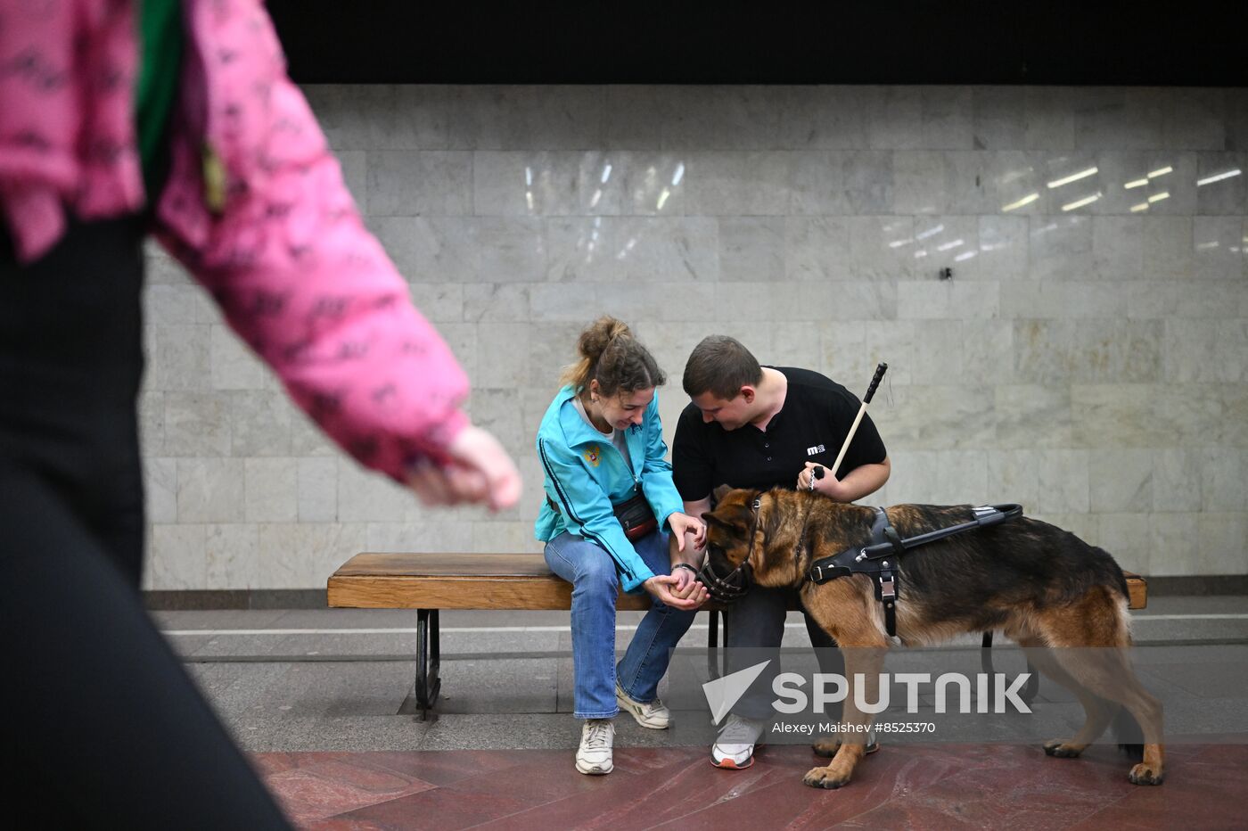 Russia Guide Dogs
