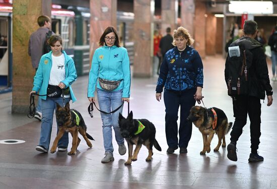 Russia Guide Dogs
