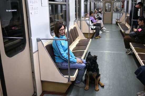 Russia Guide Dogs