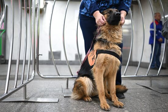 Russia Guide Dogs