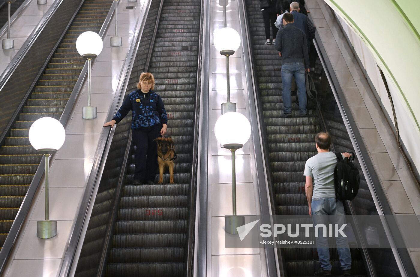 Russia Guide Dogs