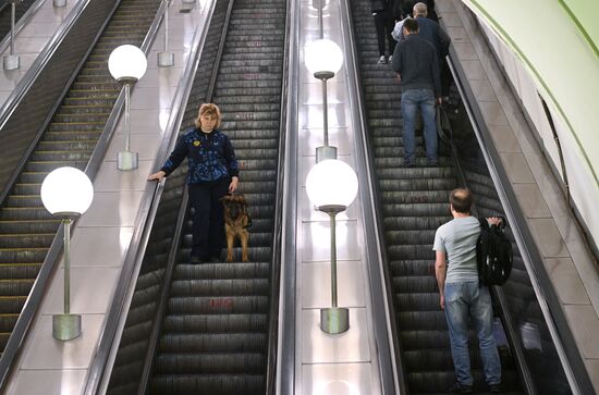 Russia Guide Dogs