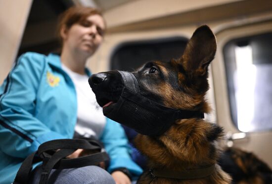 Russia Guide Dogs