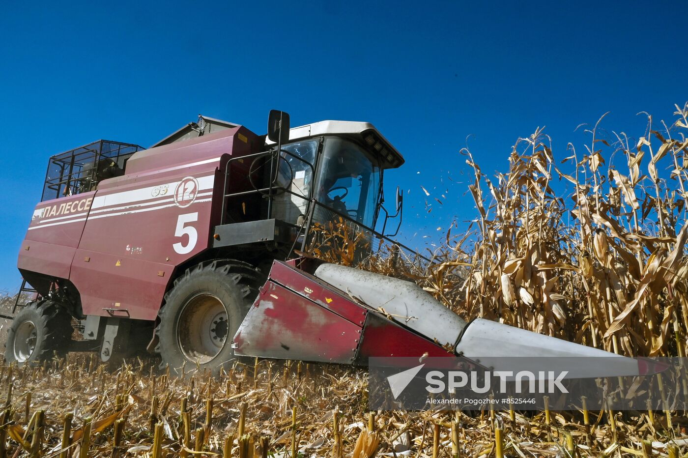 Russia Agriculture Corn Harvesting