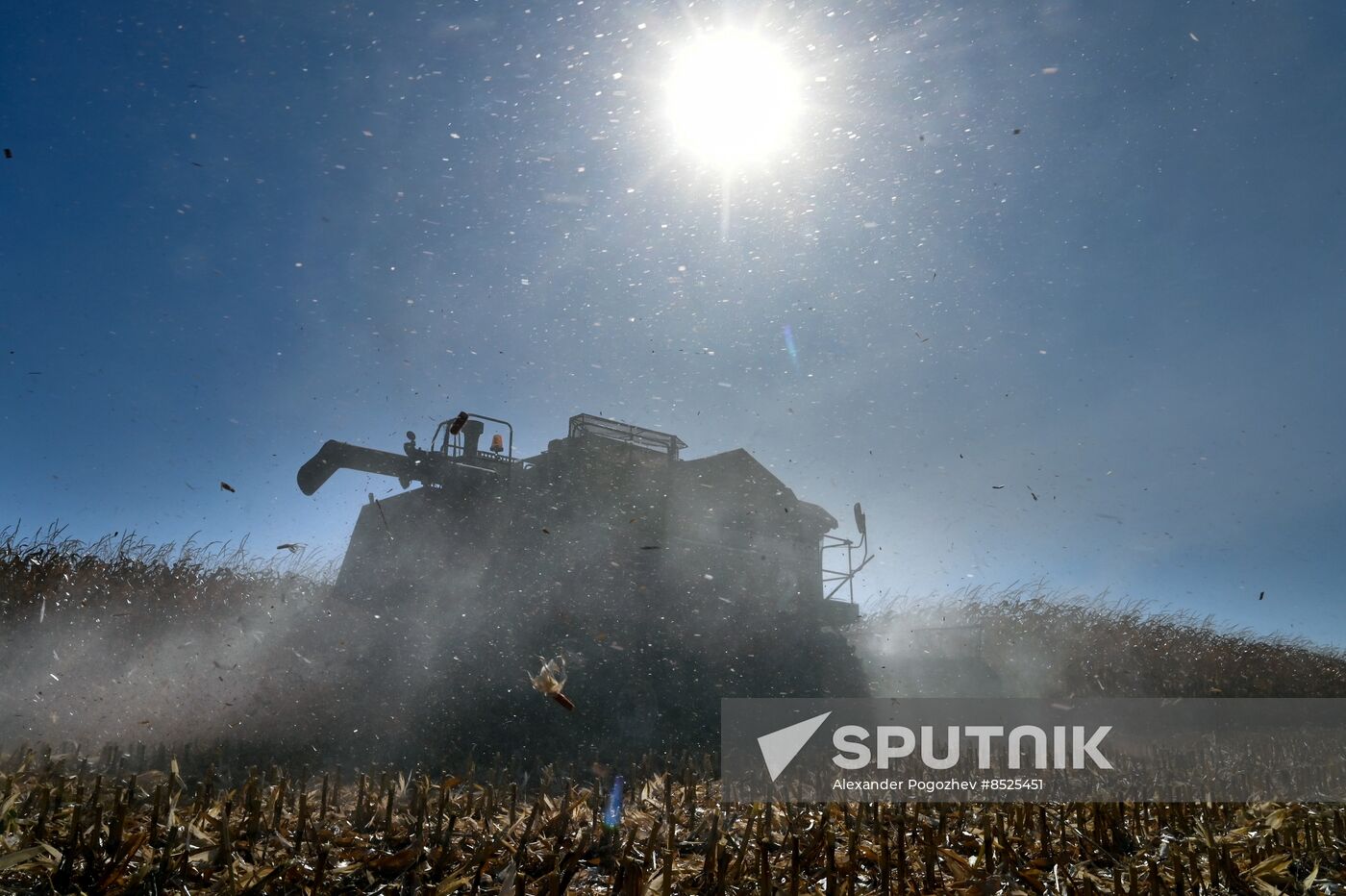 Russia Agriculture Corn Harvesting