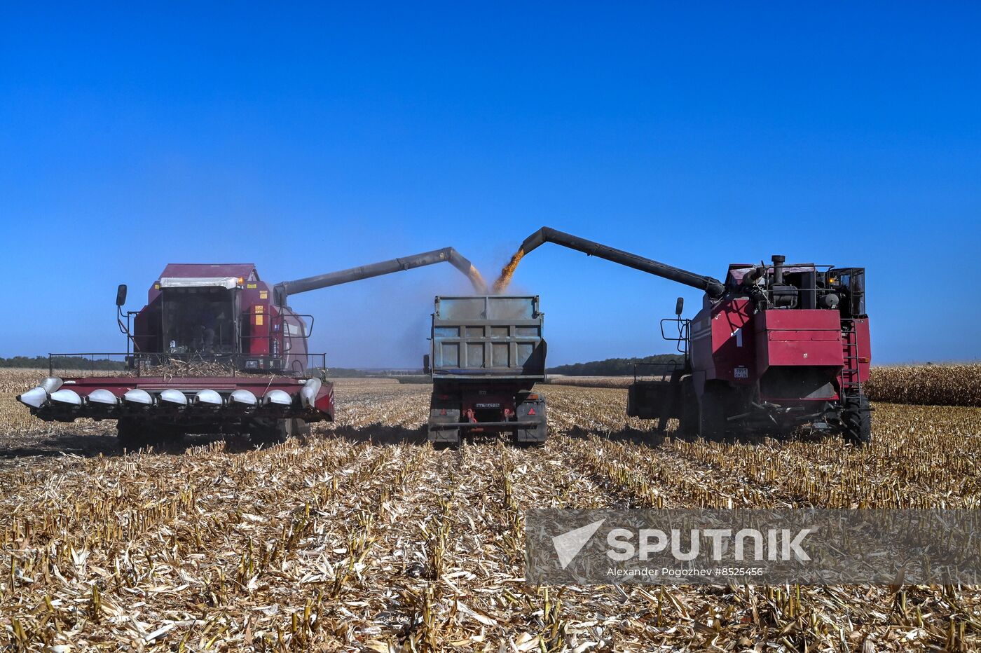 Russia Agriculture Corn Harvesting