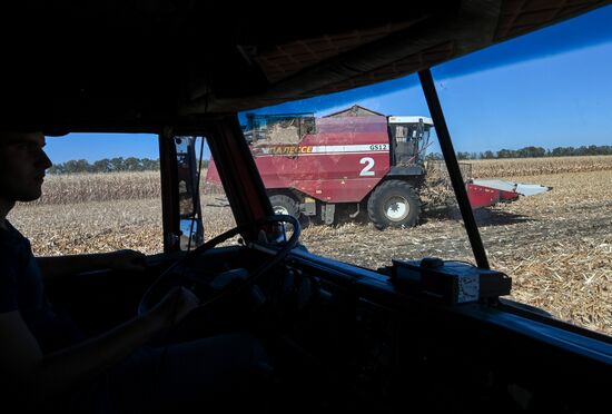 Russia Agriculture Corn Harvesting