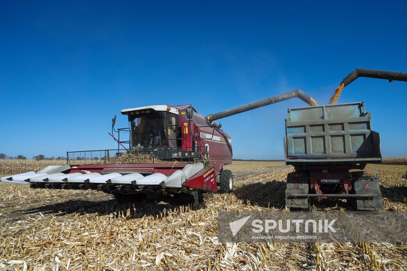 Russia Agriculture Corn Harvesting