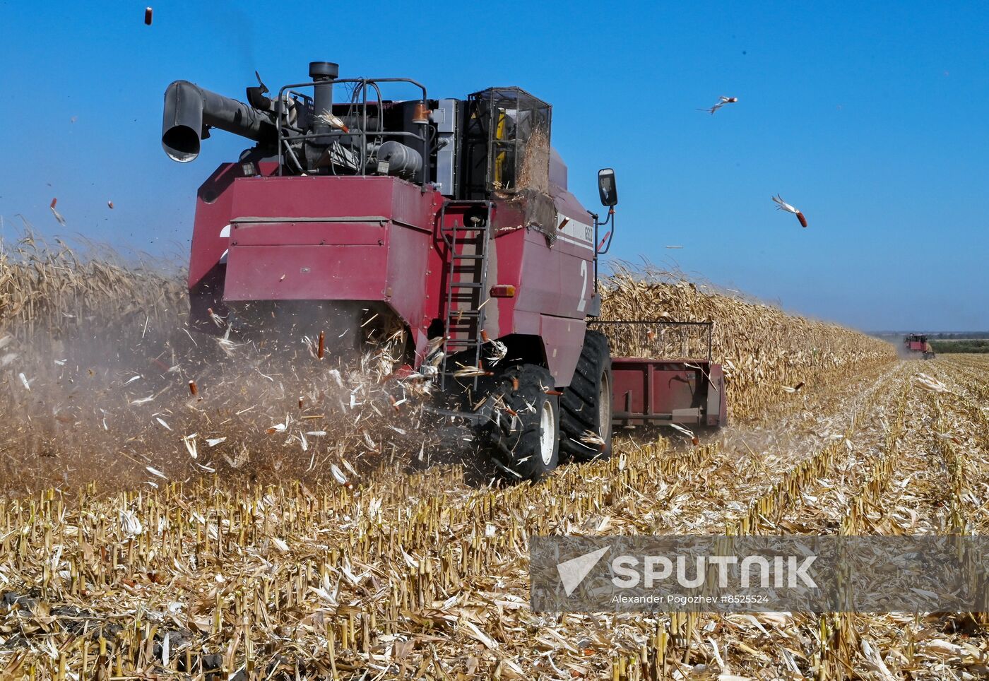 Russia Agriculture Corn Harvesting