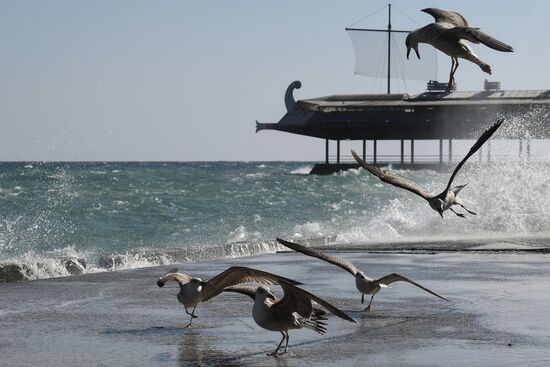 Russia Crimea Daily Life