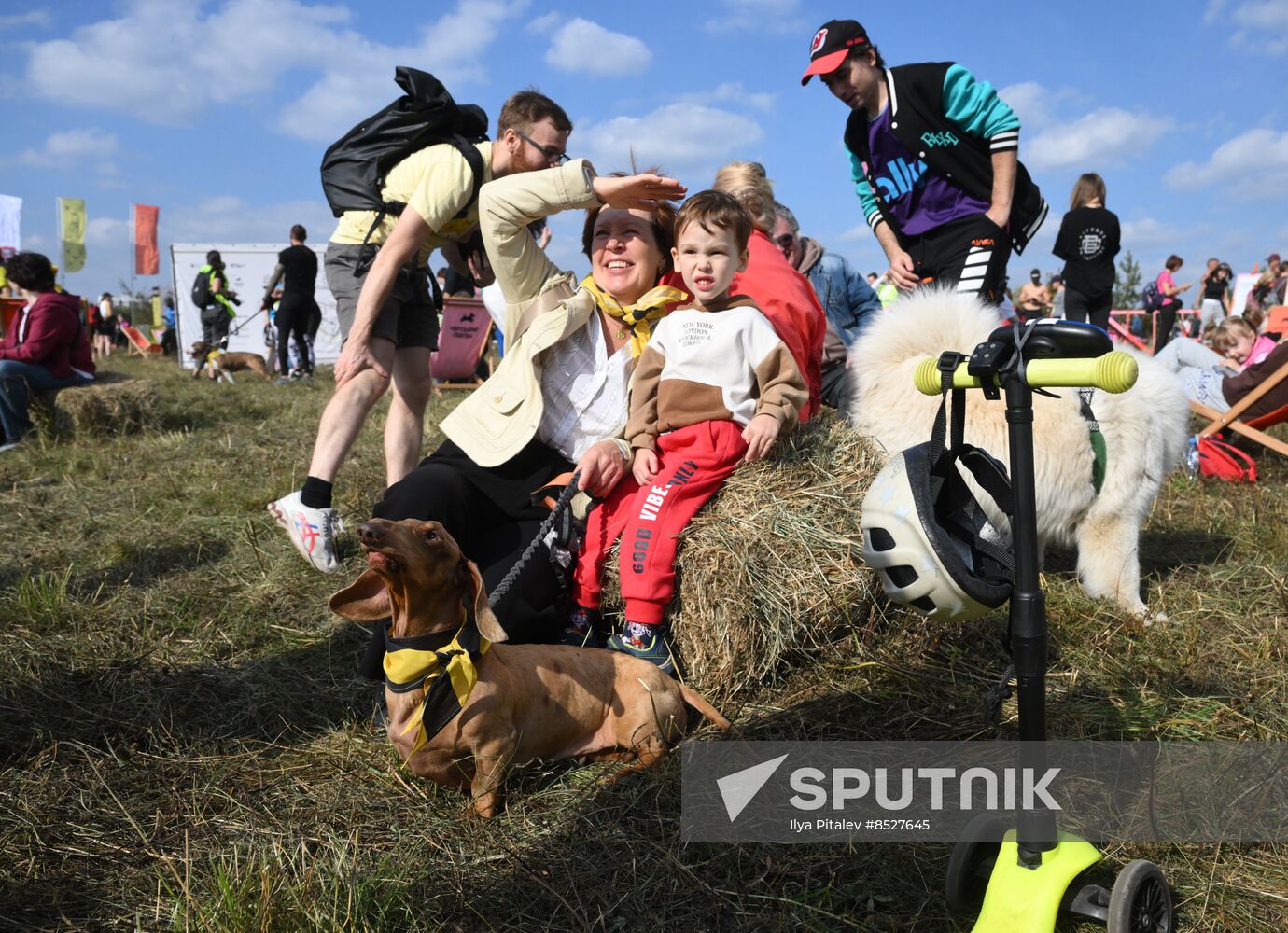 Russia Dog Cross