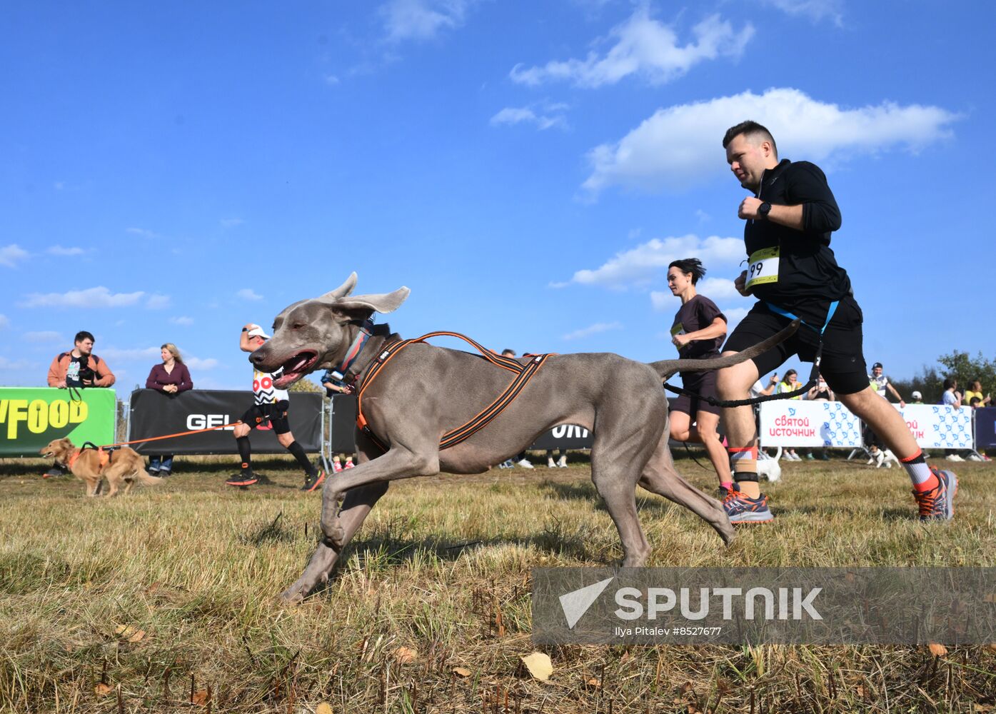 Russia Dog Cross