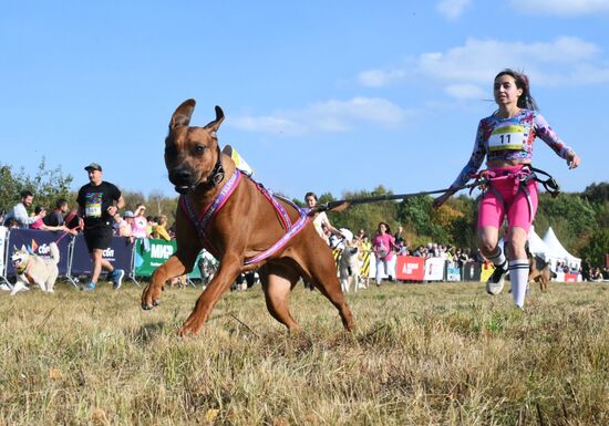 Russia Dog Cross