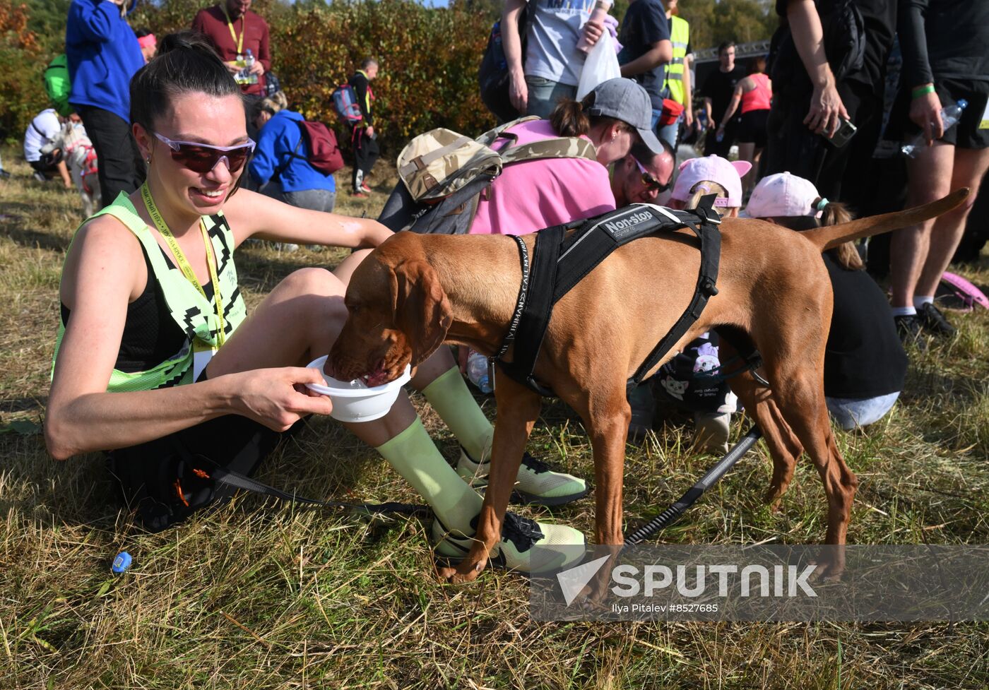 Russia Dog Cross