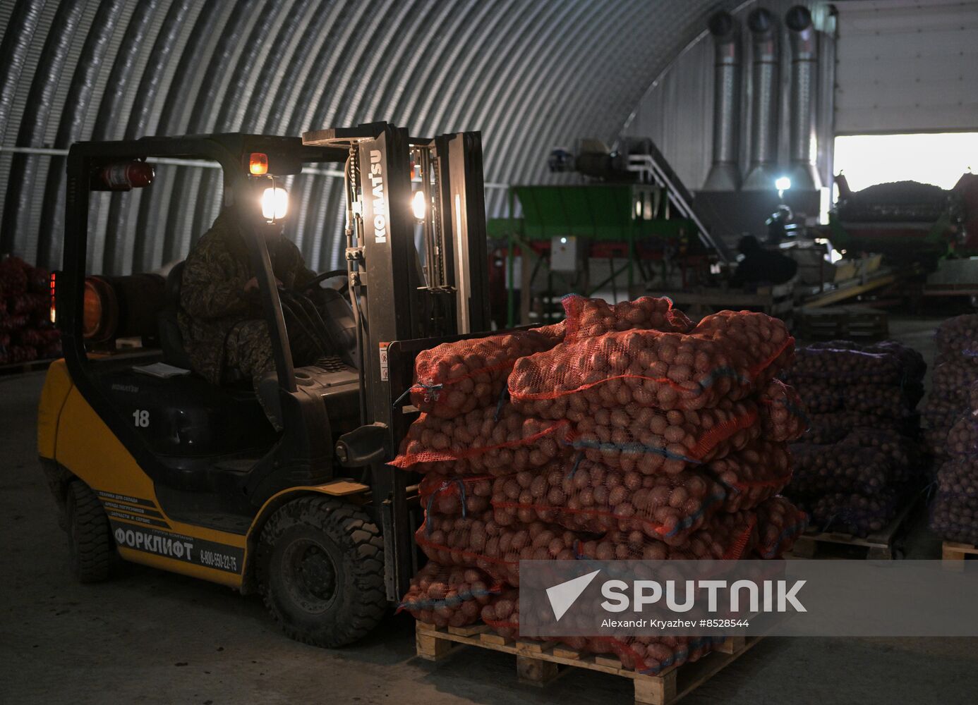 Russia Agriculture Vegetables Harvesting