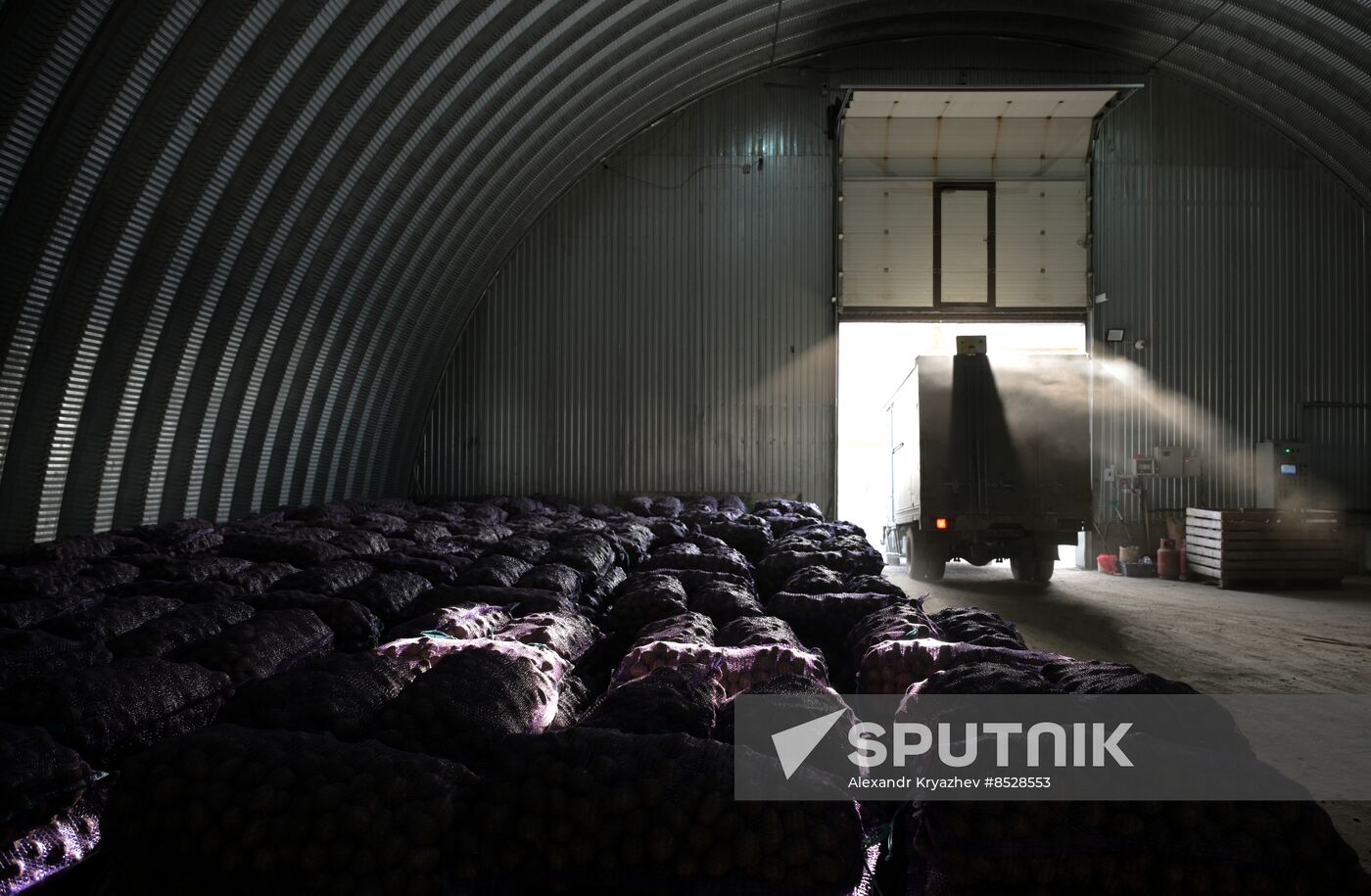 Russia Agriculture Vegetables Harvesting