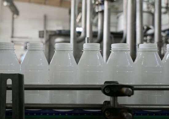 Russia Dairy Industry