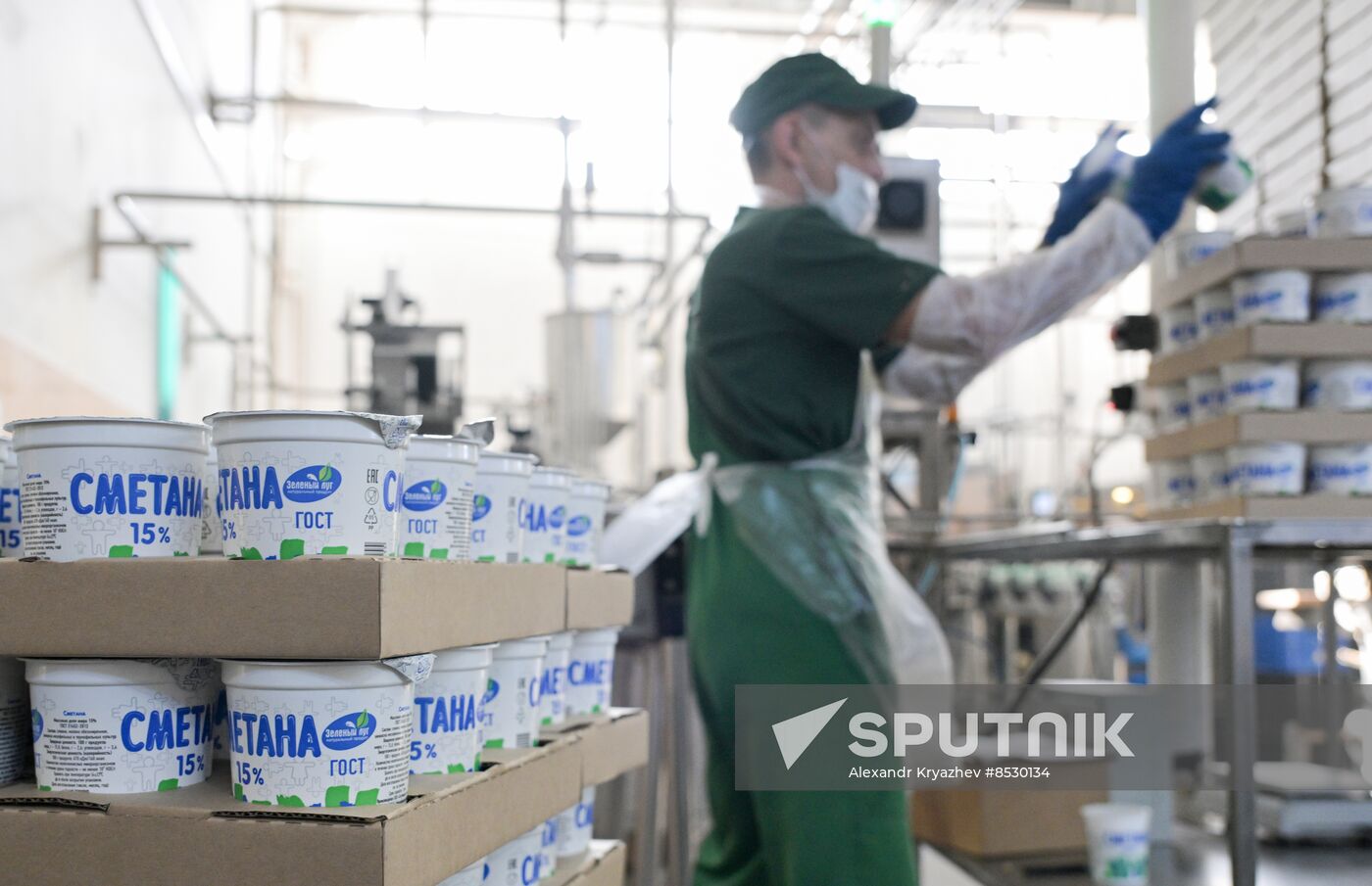 Russia Dairy Industry