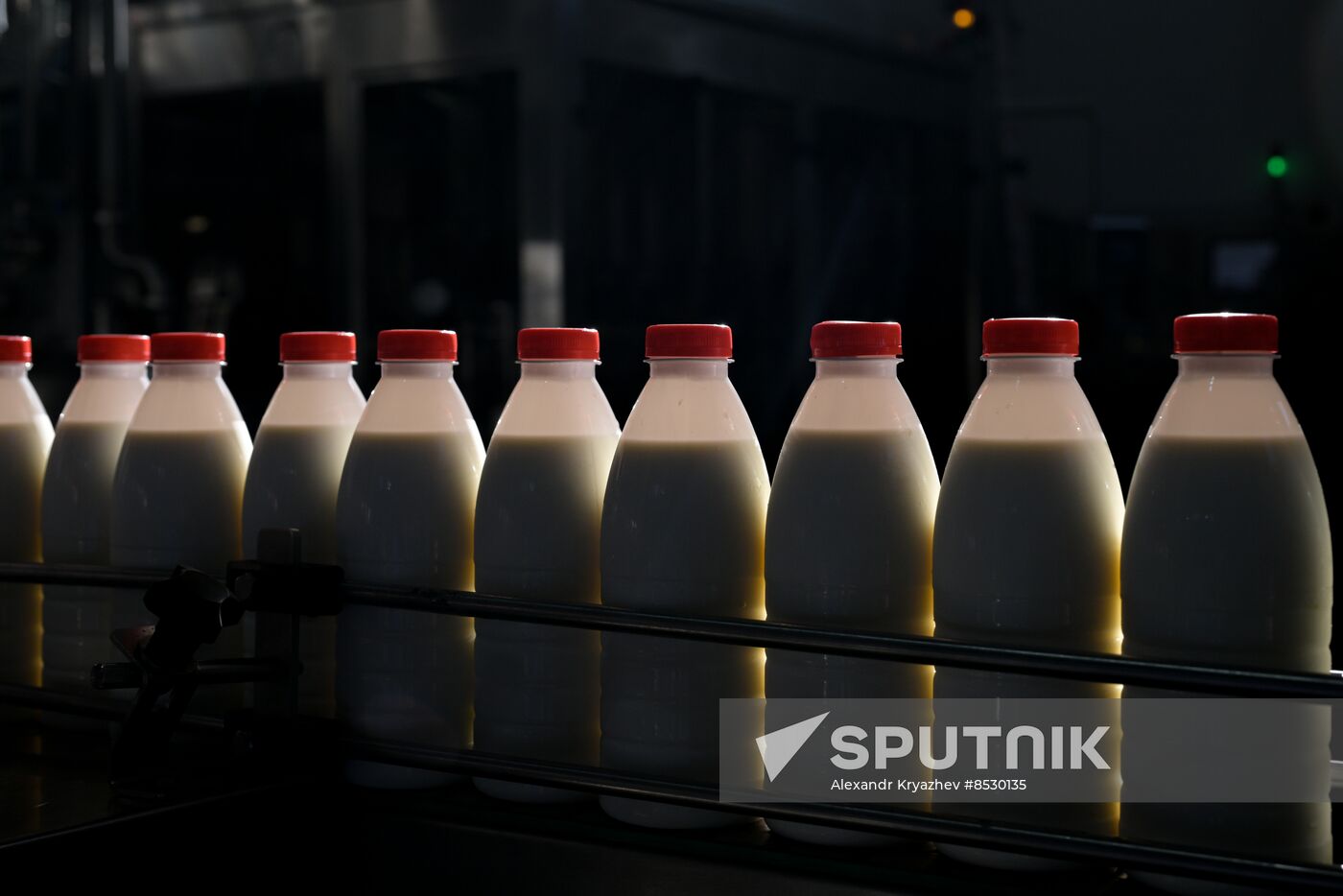 Russia Dairy Industry