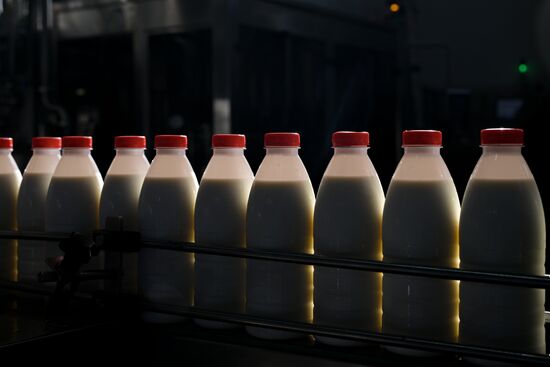 Russia Dairy Industry