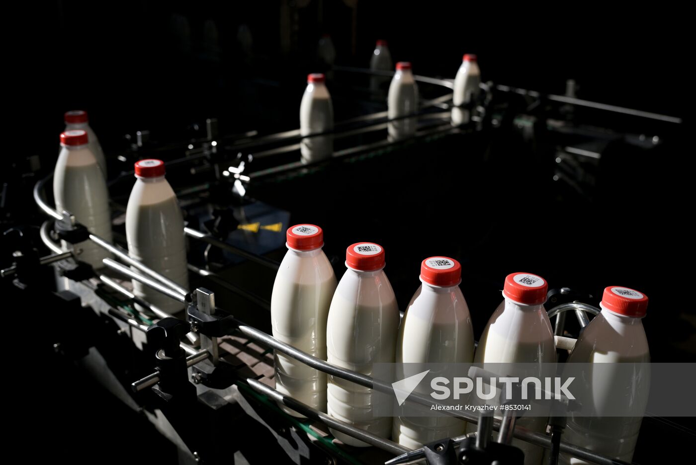 Russia Dairy Industry