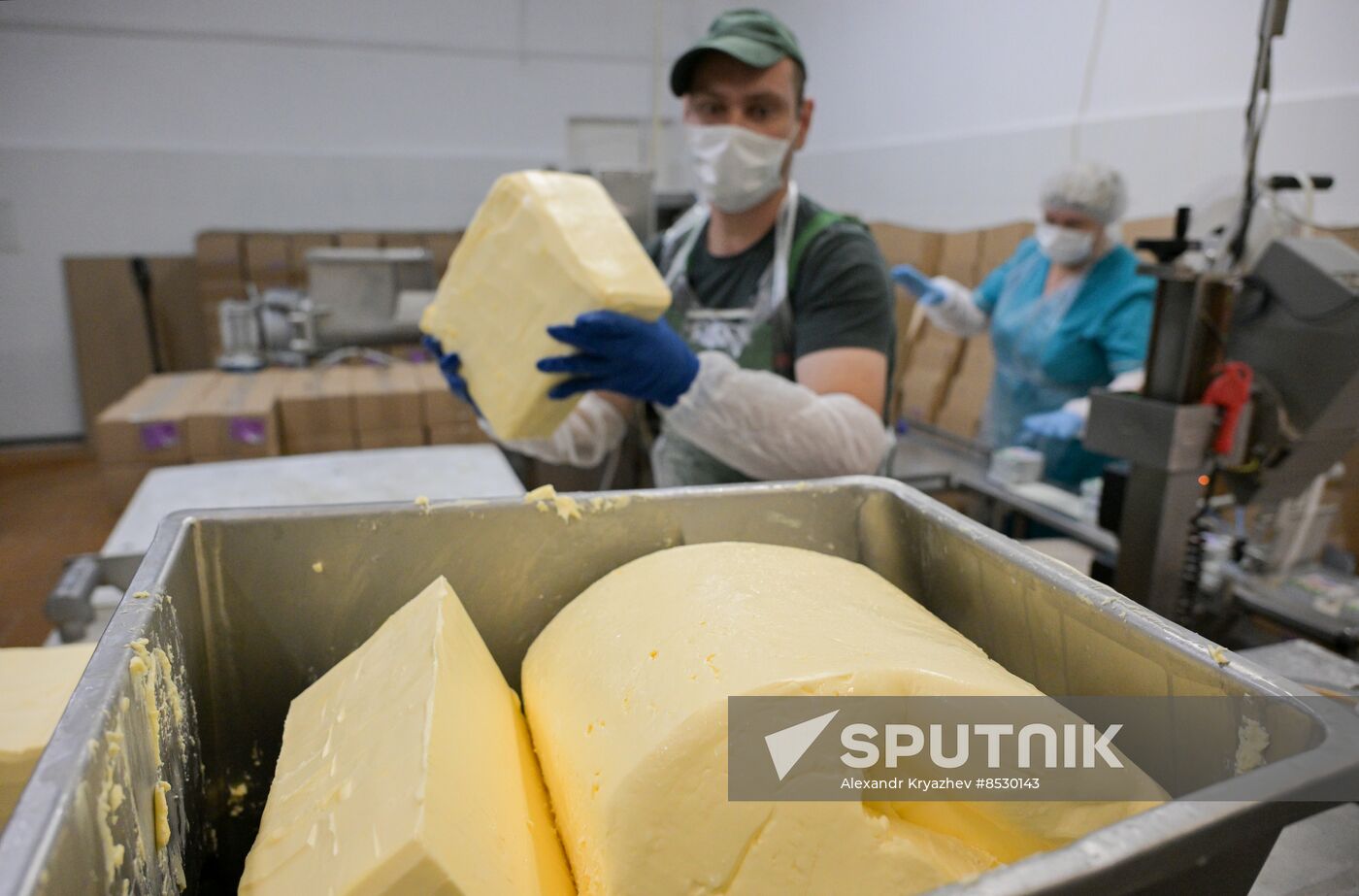 Russia Dairy Industry