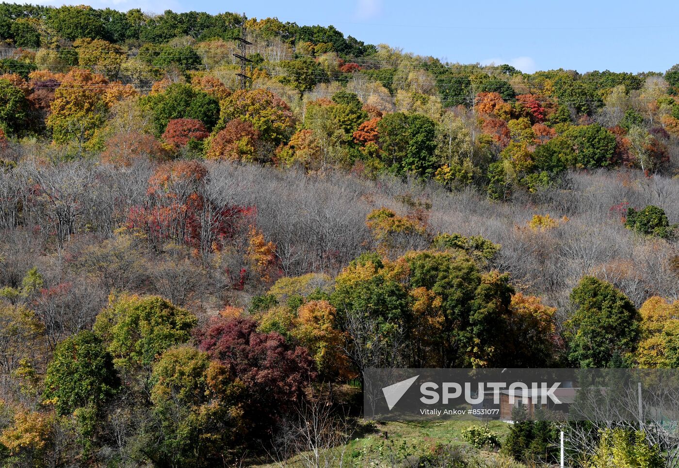 Autumn in Primorye Territory