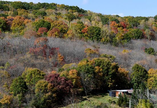 Autumn in Primorye Territory