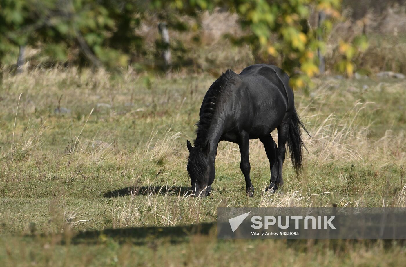 Autumn in Primorye Territory