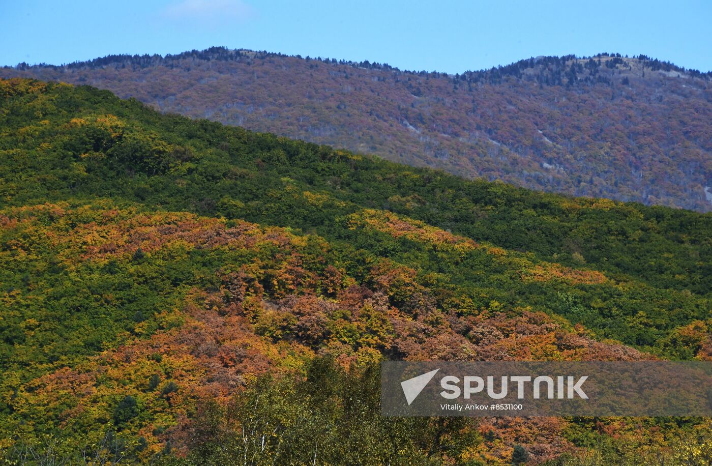 Autumn in Primorye Territory