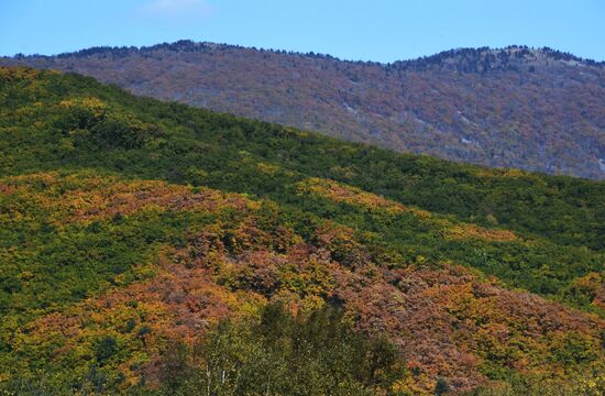 Autumn in Primorye Territory