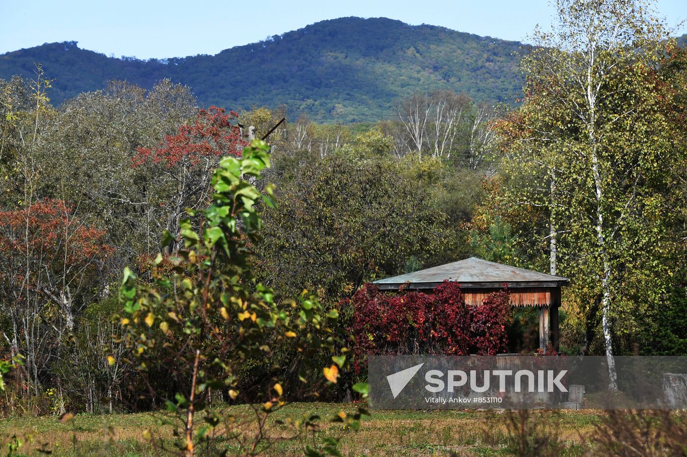 Autumn in Primorye Territory