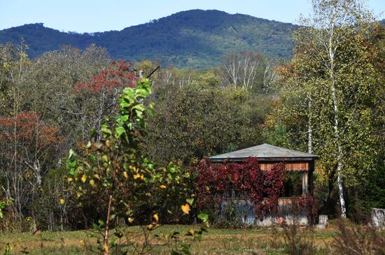 Autumn in Primorye Territory