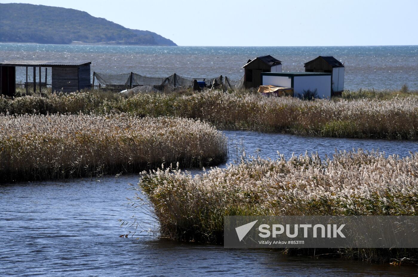 Autumn in Primorye Territory