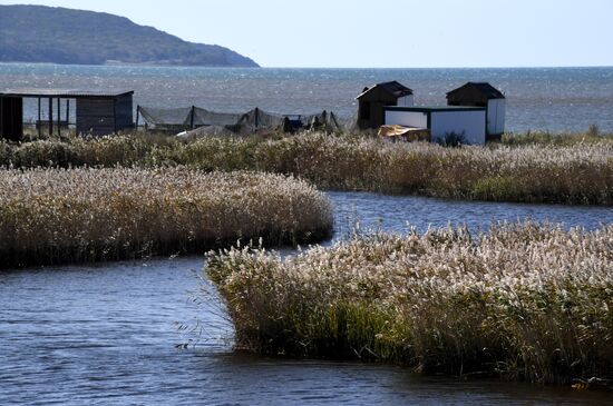 Autumn in Primorye Territory