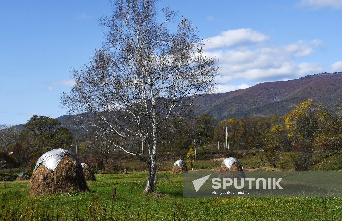 Autumn in Primorye Territory