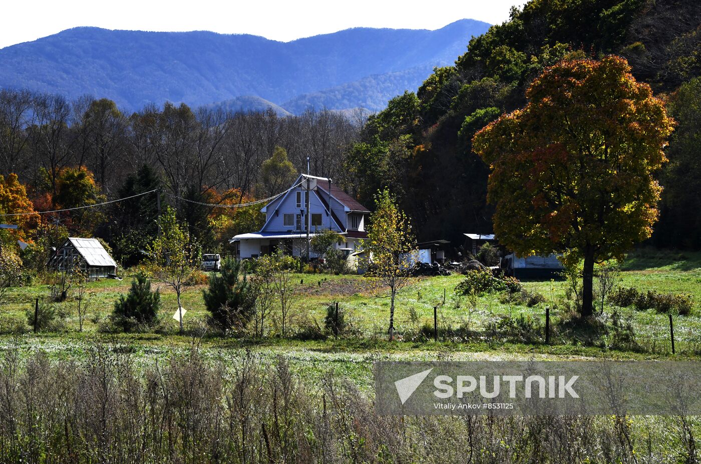 Autumn in Primorye Territory