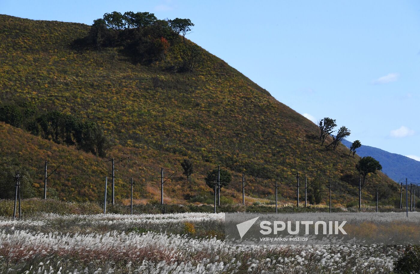 Autumn in Primorye Territory