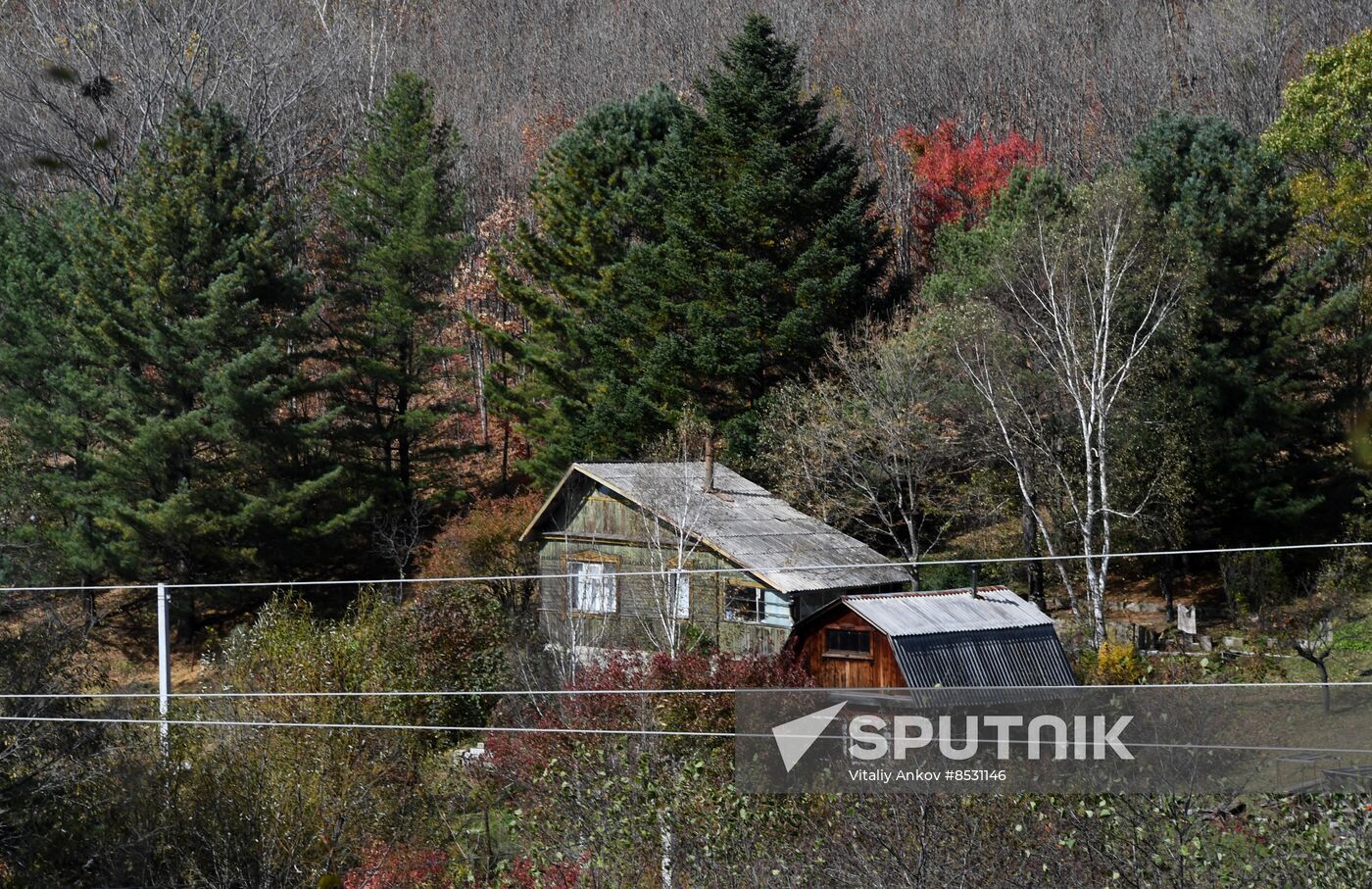 Autumn in Primorye Territory